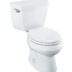 How to Replace a Toilet Video