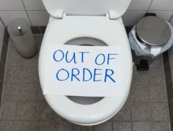 Prevent Toilet Clogs: Tips for an Unstoppable Flush