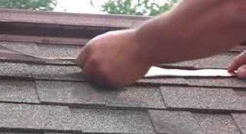 How To Keep The Algae And Moss Off Your Roof