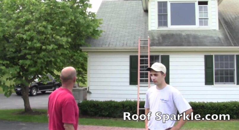 How to Make the Roof Cleaner used in the Video