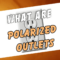 How a Polarized Plug Work?